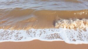 Murky brown wave washes onto a sandy beach.