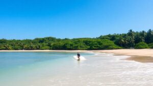 Surfer on clean wave along Liberia’s palm-lined coast