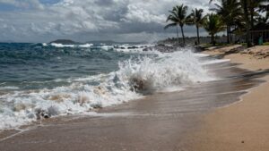 Waves crashing on a beach with palm trees.